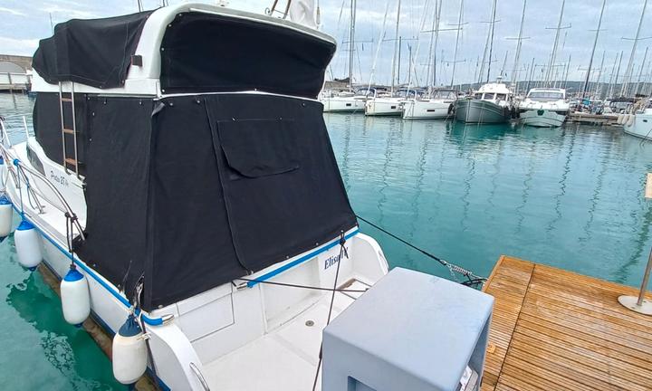 Ala Blu Proteo 28 Fly