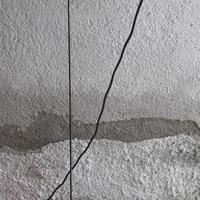 asta fucile arbalete
