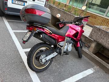 Pegaso 650 soli 13.000km