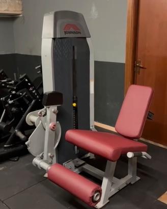 Leg extension johnson