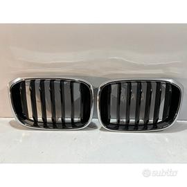 BMW X3 G01 / X4 G02 Grill / Destra - 14604