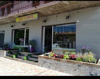 Negozio Piante e Fiori