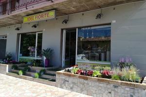 Negozio Piante e Fiori