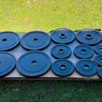 Pesi palestra - dischi olimpionici