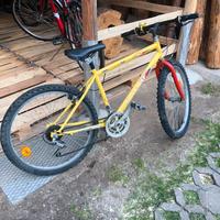 Bicicletta mtb con cambio