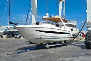 SCARANI 30 - FULL - PERFETTA
