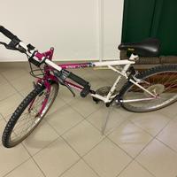 Mountain Bike Legnano con accessori