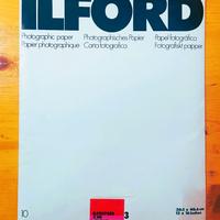 10 FOGLI CARTA FOTOGRAFICA ILFORDILFOSPEED 30X40 3