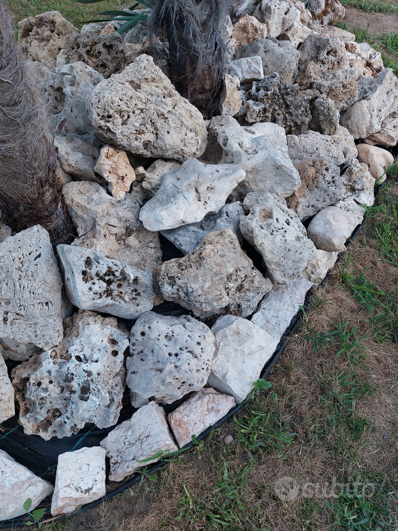 Sassi e rocce da giardino - Giardino e Fai da te In vendita a Milano