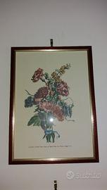 Quadro cornice legno marrone scuro fiori colorato