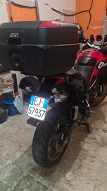 Multistrada 950