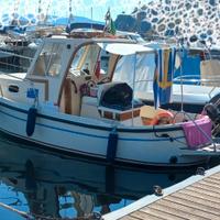 Anaconda 2 + FNM 40 HP (2007)