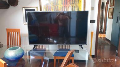 TV LG 49 pollici con decoder esterno , telecomandi