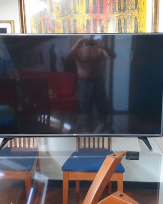 TV LG 49 pollici con decoder esterno , telecomandi