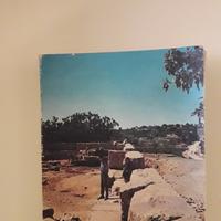 La storia della salvezza ne l'Antico Testamento