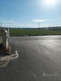 Terreno agricolo