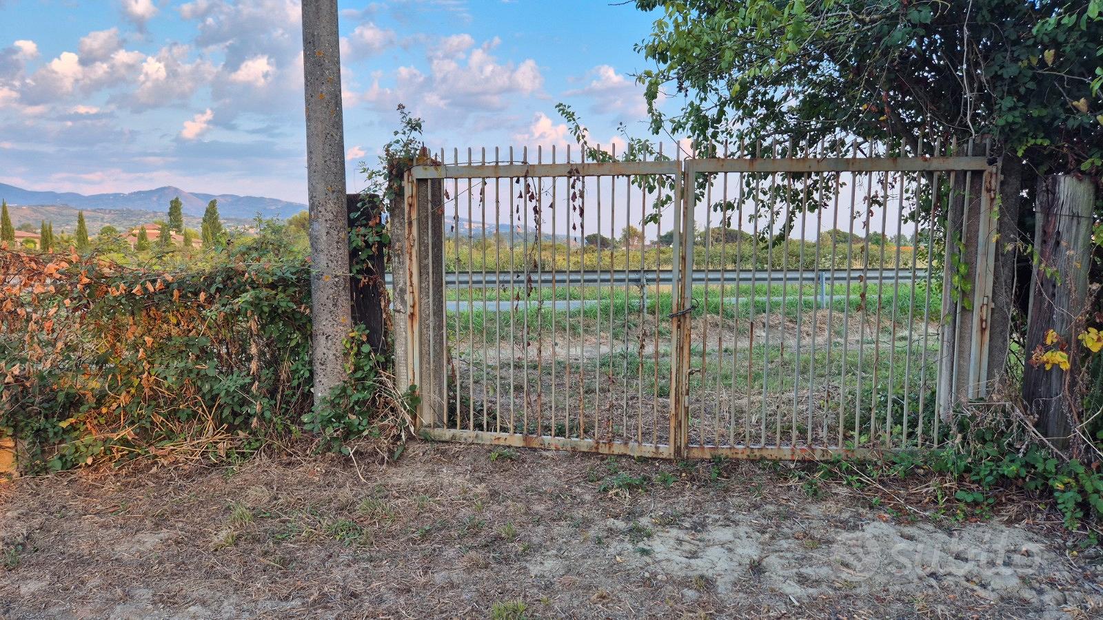 Terreno agricolo 2.462 mq con deposito di 14mq - Vista 5