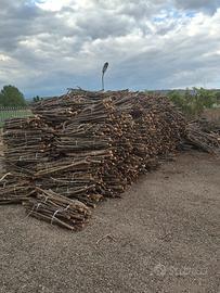 legna fasciata  per forno consegna su benevento 