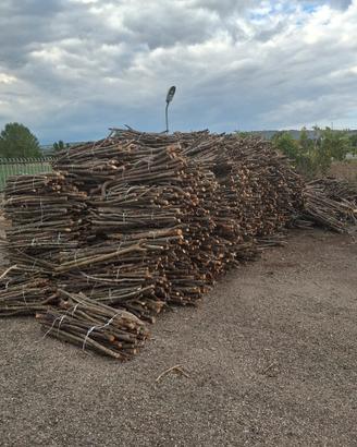 legna fasciata  per forno consegna su benevento 