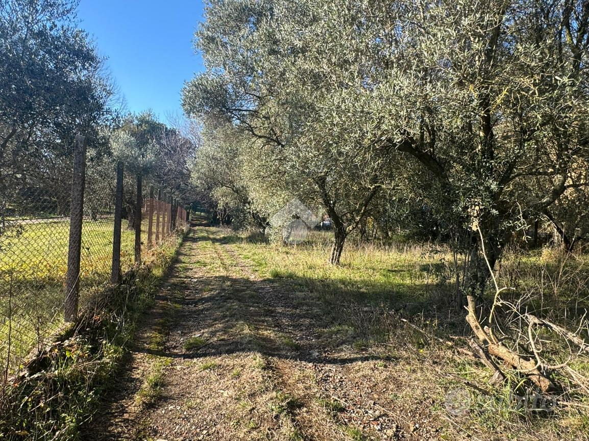RUSTICO A ZAGAROLO - Vista 5