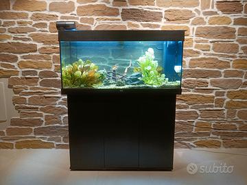 Acquario Juwel Rio 180 completo e avviato