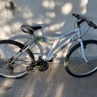 Bicicletta mtb ax 2622 fausto coppi