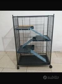gabbia