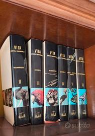 Lotto 6 enciclopedie vintage anni '60 vita animali