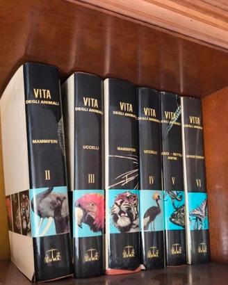 Lotto 6 enciclopedie vintage anni '60 vita animali
