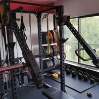 Lacertosus Pro power arms 2.0