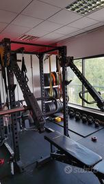 Lacertosus Pro power arms 2.0