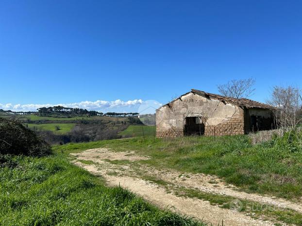 RUSTICO A CALVI DELL'UMBRIA