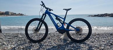 specialaized turbo levo