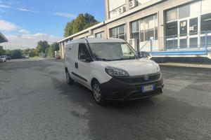 doblo maxi