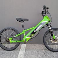 Kawasaki ER 5 ELEKTRODE 20