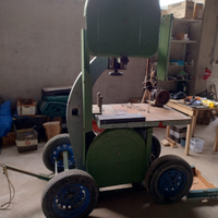 Vendita sega per legname