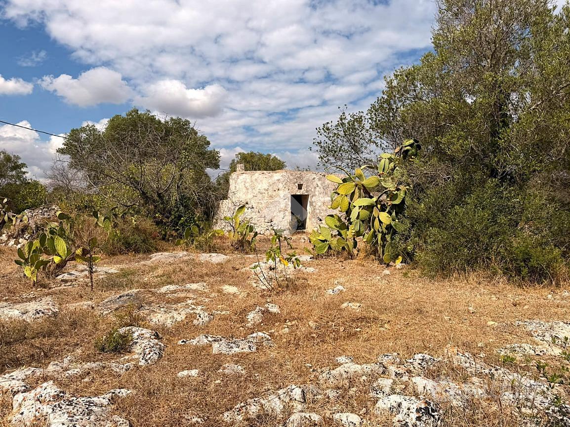 RUSTICO A CAROVIGNO - Vista 3
