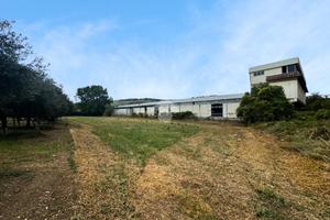 TERRENO A GIULIANOVA