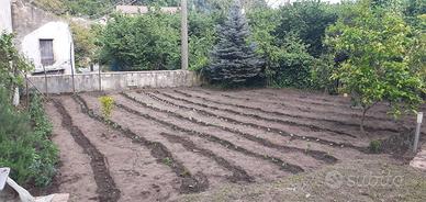 mansarda arredata con giardino con angolo barbecue