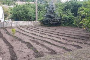 mansarda arredata con giardino con angolo barbecue