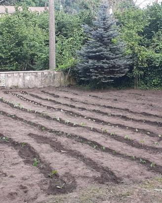 mansarda arredata con giardino con angolo barbecue