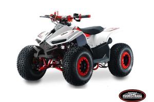 Lem Motor Quad, Grizzly 110cc