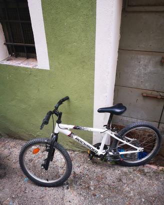 bicicletta bambino