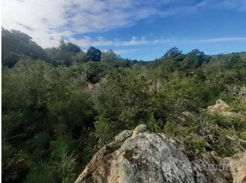 Immobile in asta di 12561 m² a Arzachena - Vista 4