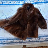 PELLICCIA DI CASTORO