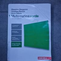 matematica.verde 1