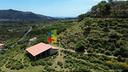 splendida-tenuta-di-oltre-8-ettari-con-fabbricati