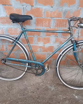 Bianchi condorino 