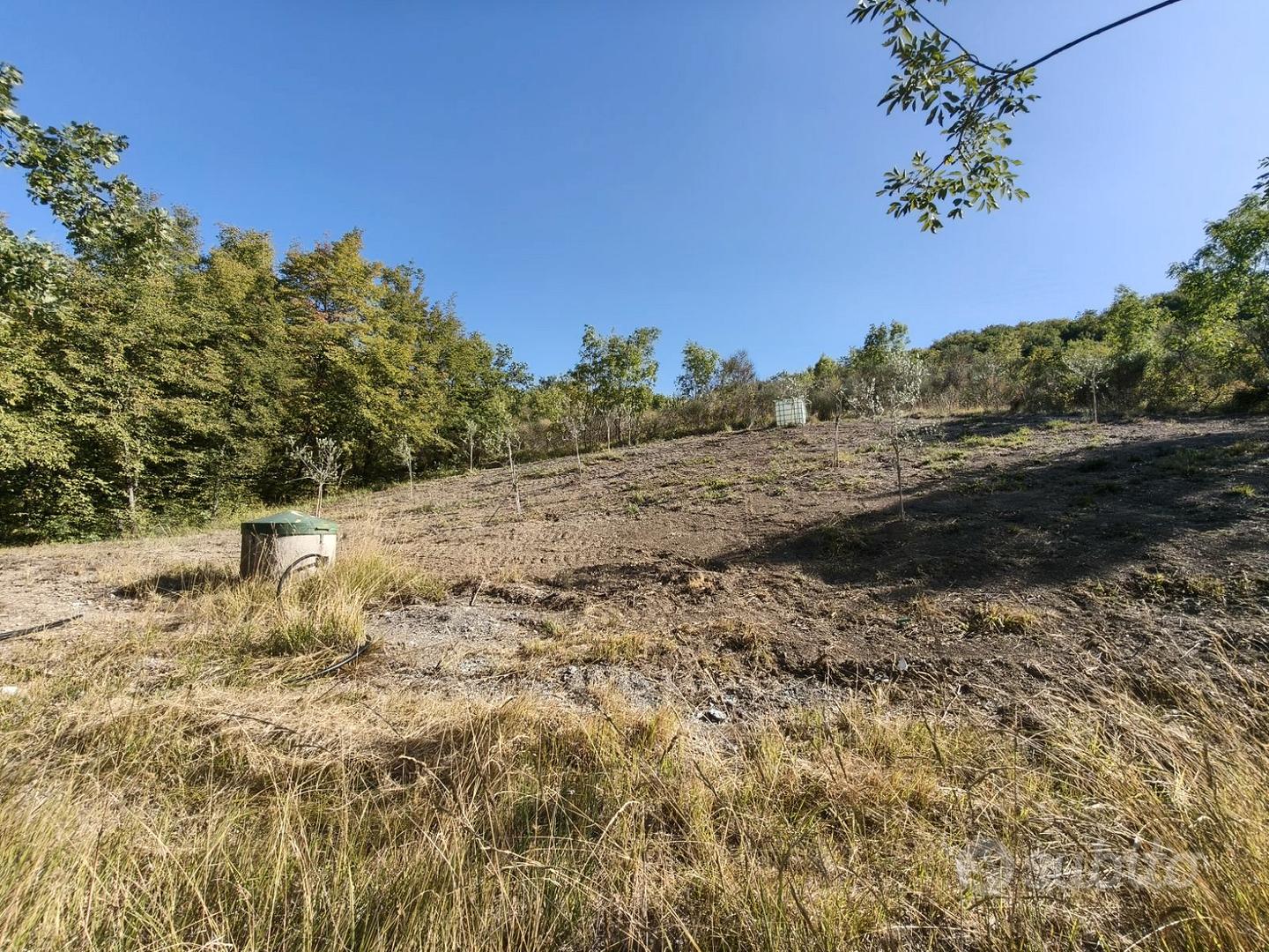 Terreno agricolo con attrezzatura e pozzo - Vista 2