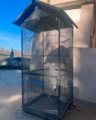 Voliera in ferro
